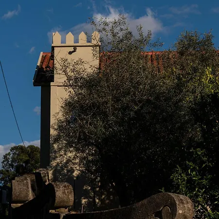 Belavista Villages Villa Riba Douro